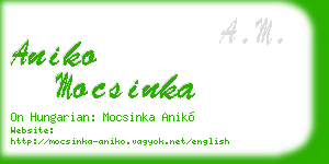 aniko mocsinka business card